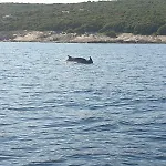 Διαμέρισμα Resindenz Benni 7 Mit Beheiztem Grossem Pool Μεντουλίν