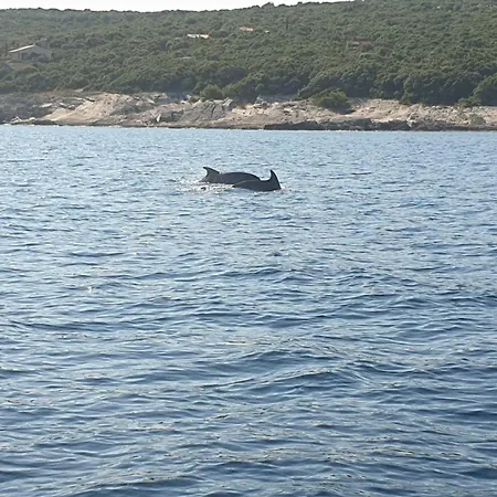 Апартаменты Resindenz Benni 7 Mit Beheiztem Grossem Pool Медулин