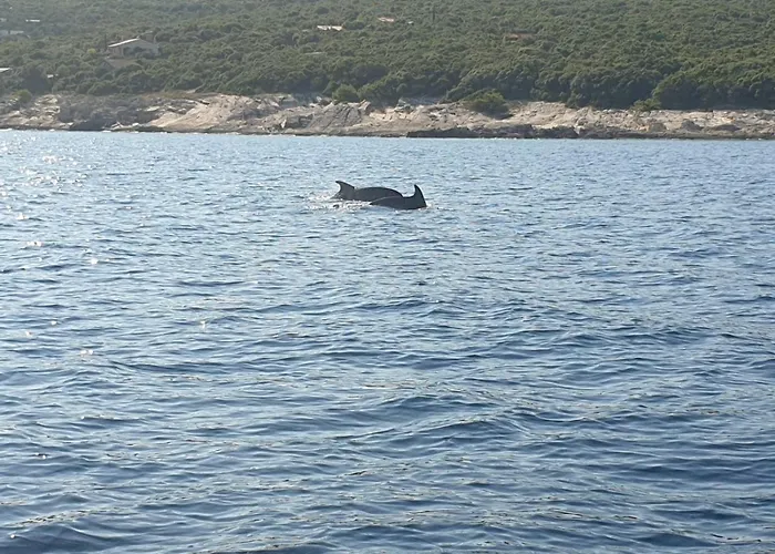 Apartment Resindenz Benni 7 Mit Beheiztem Grossem Pool Medulin